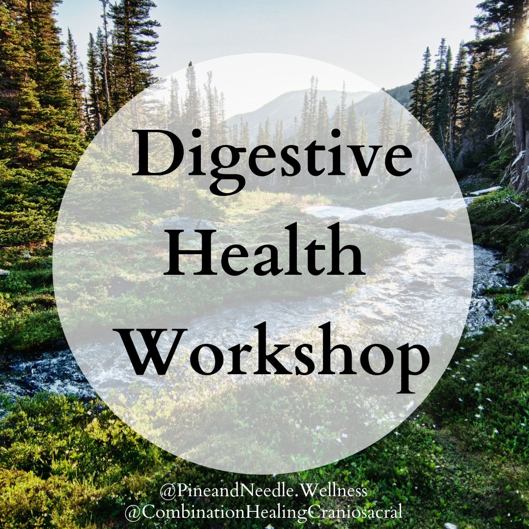 image from Digestive Health Workshop