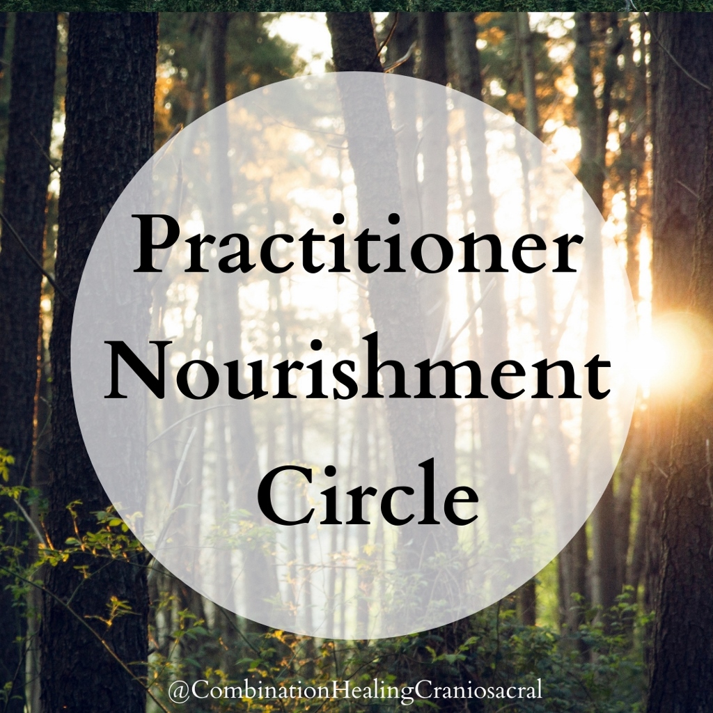 logo for practitioner nourishment circle with picture of trees in background