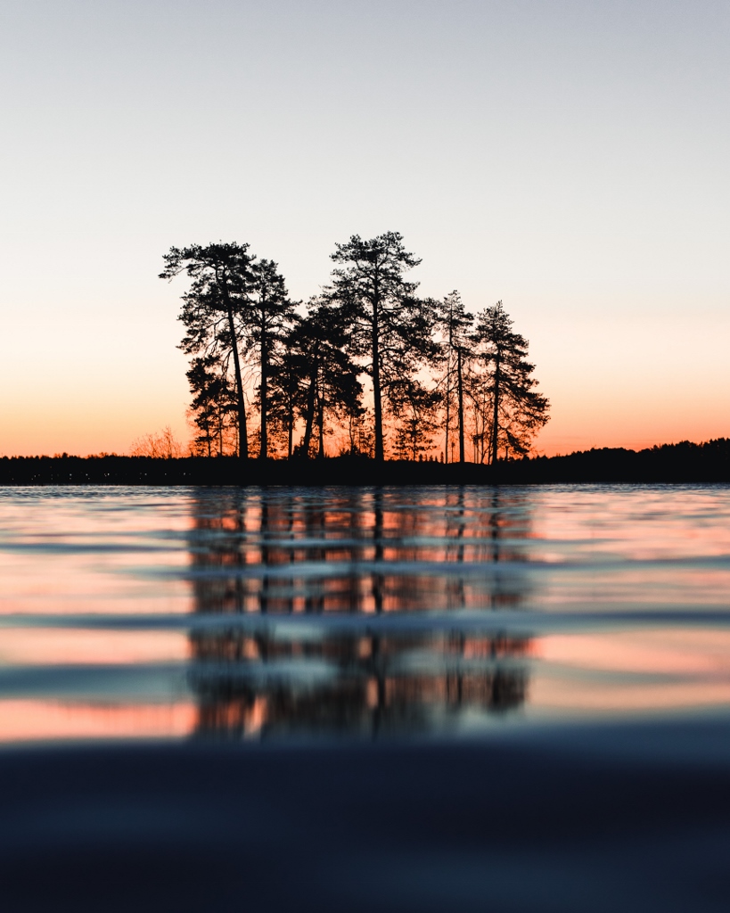 trees reflected on water at sunset
