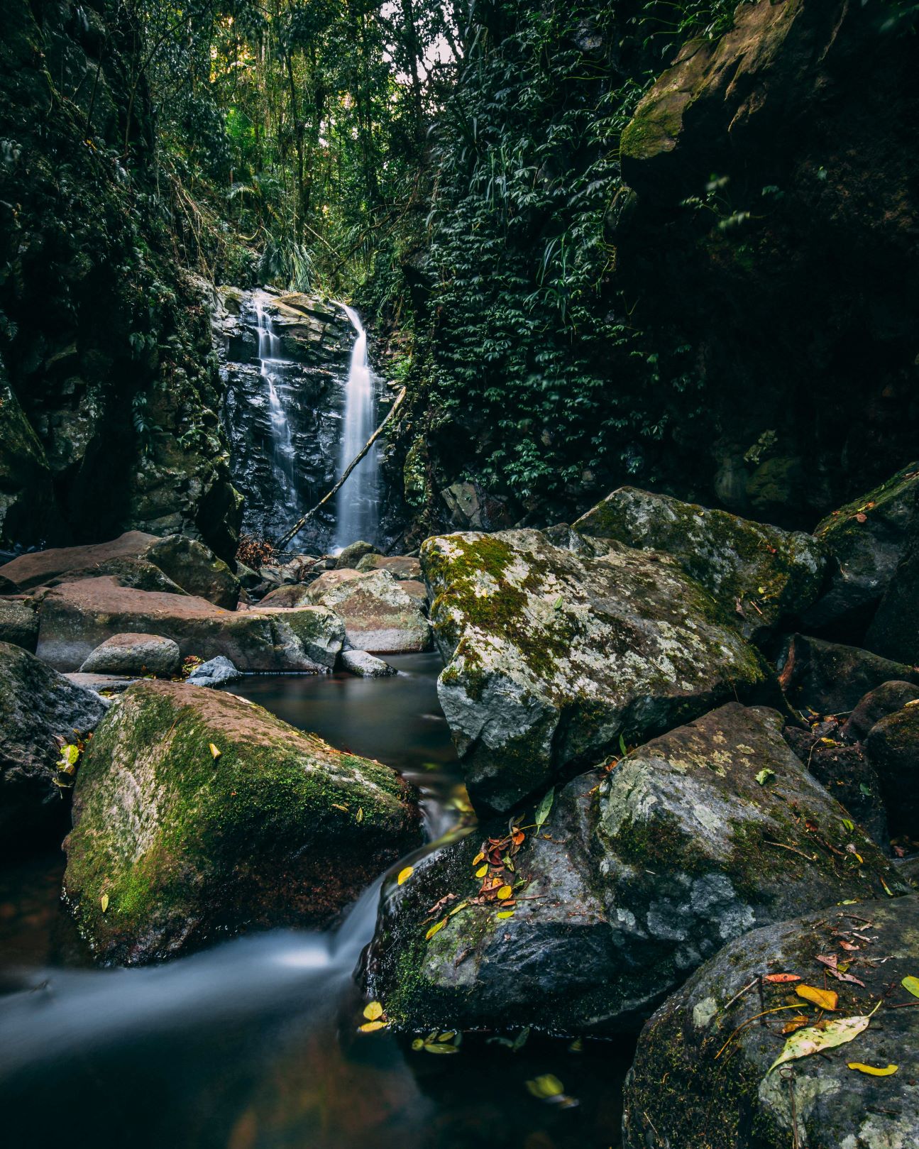 waterfall into beautiful pool surrounded by lush greenery and rocks